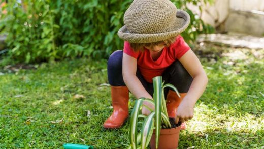 gardening-activities