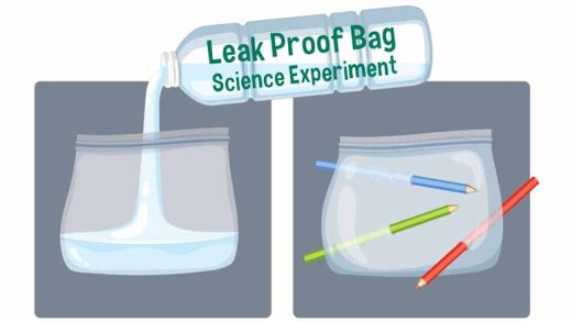 Leak Proof Bag Science Experiment for Kids