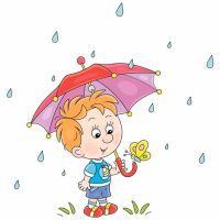 What Happens to Worms, Snails and Leaves After the Rain