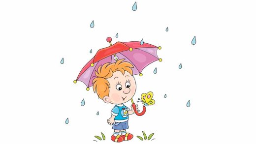 What Happens to Worms, Snails and Leaves After the Rain