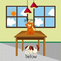 How Can Early Childhood Educators Teach Positional Words to Preschoolers