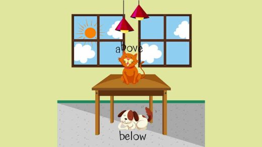How Can Early Childhood Educators Teach Positional Words to Preschoolers