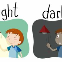 Why Should Kids Save Electricity? Easy Ways to Conserve Energy and Protect the Environment