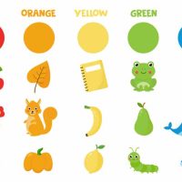 Names of Colours for Kids Learn Colours in English with Pictures