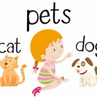 This or That Questions for Kids Fun Questions to Play