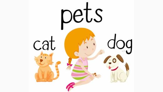 This or That Questions for Kids Fun Questions to Play